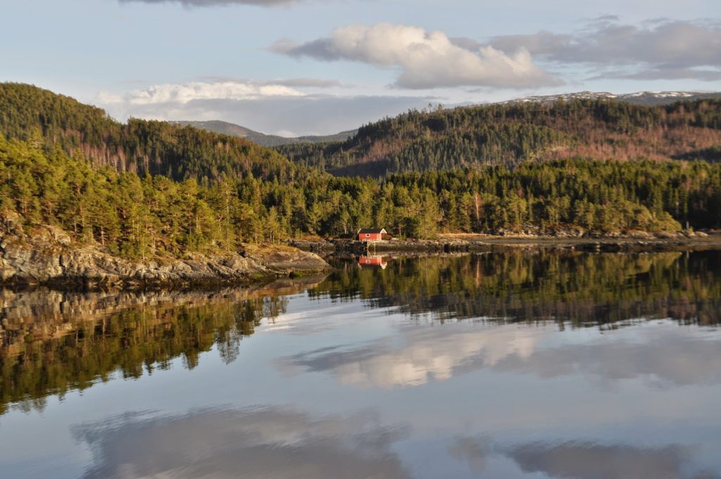 Die Wildnis rund um Trondheim in Norwegen